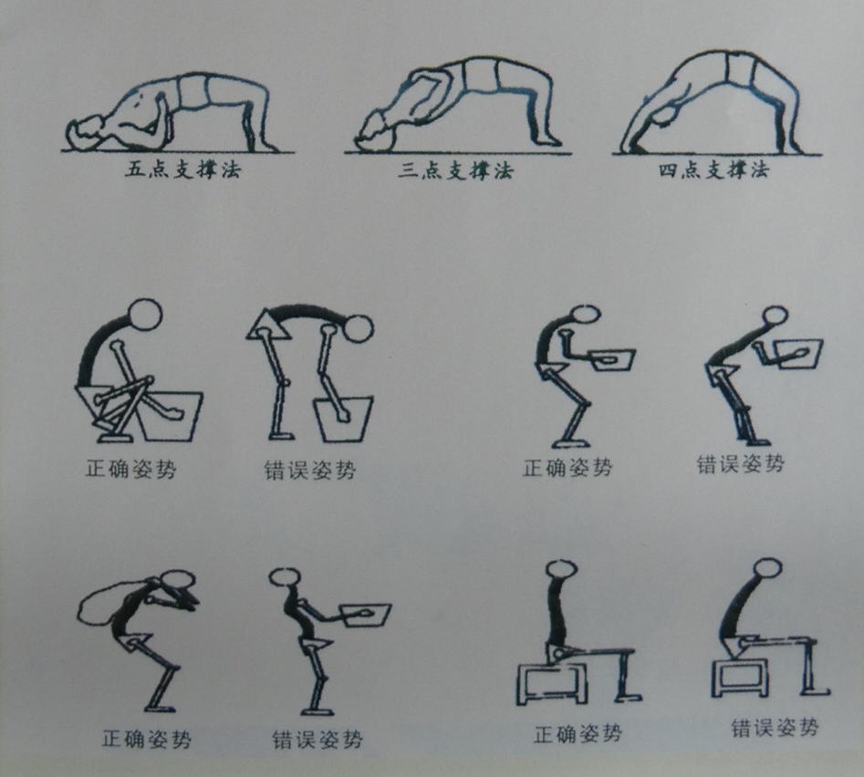常用的腰背部肌肉锻炼的方法包括"小燕飞"和挺腹抬臀训练,腰背部肌肉